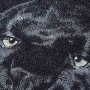 Concert Outfit Black Panther Print T-Shirt