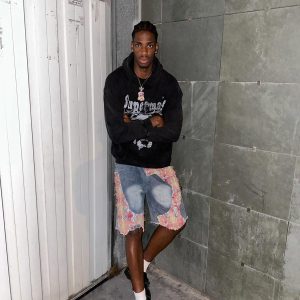 Concert Outfit Craftsmanship Ripped Floral Denim Shorts