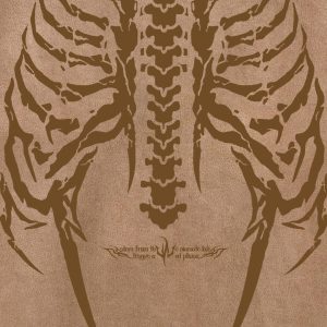 Concert Outfit Skeleton Graphic Oversized T-Shirt