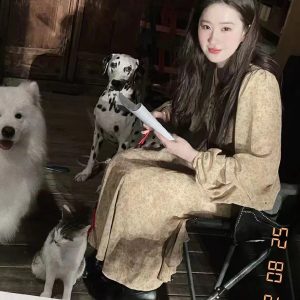 Floral V-Neck Dress for Women - Long Sleeve Printed 2025 Spring Style, Liu Yifei Inspired, Trendy Korean Fashion